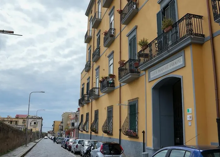 Casa Dei Pisoni *